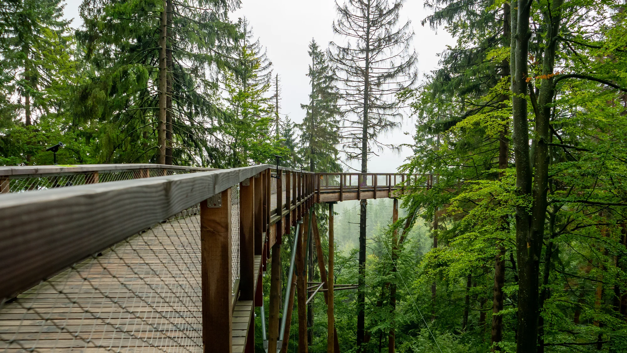 Turistický ráj: pobyt se snídaní nebo polopenzí v horské chalupě v Peci pod Sněžkou