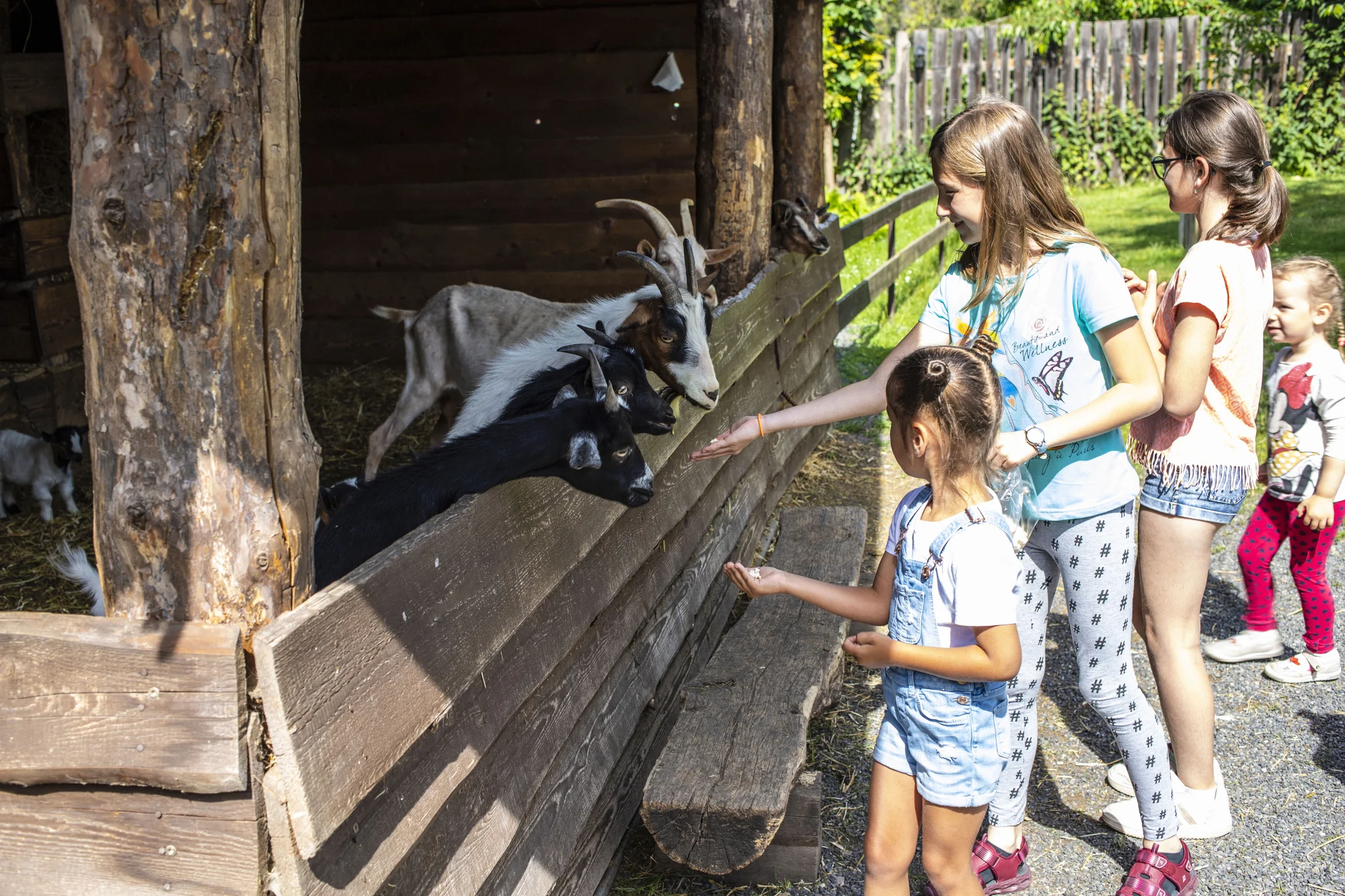 Krmení zvířátek na minifarmě Rodas a odlévání mýdla pro 1 nebo 2 osoby