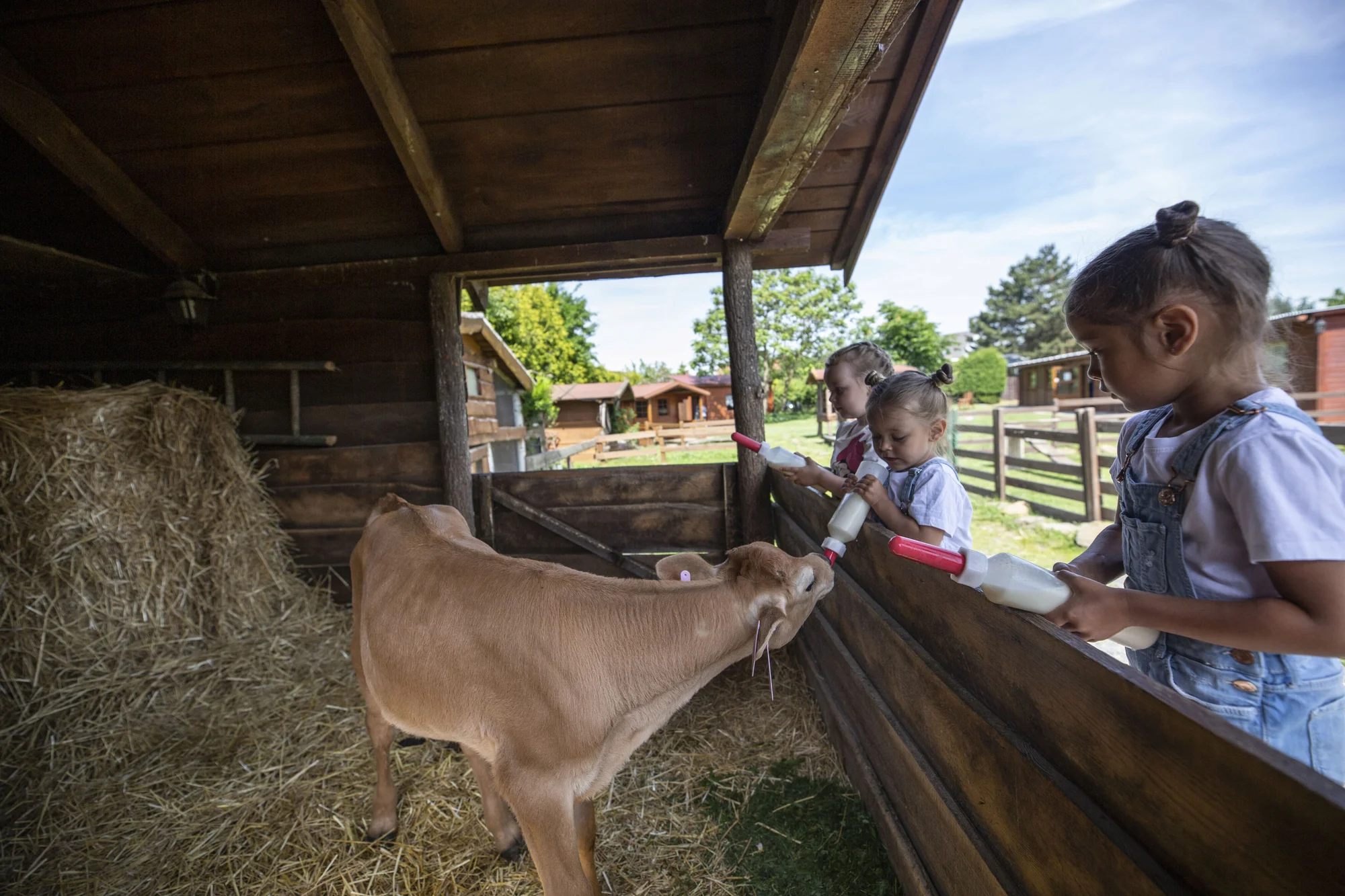 Krmení zvířátek na minifarmě Rodas a odlévání mýdla pro 1 nebo 2 osoby