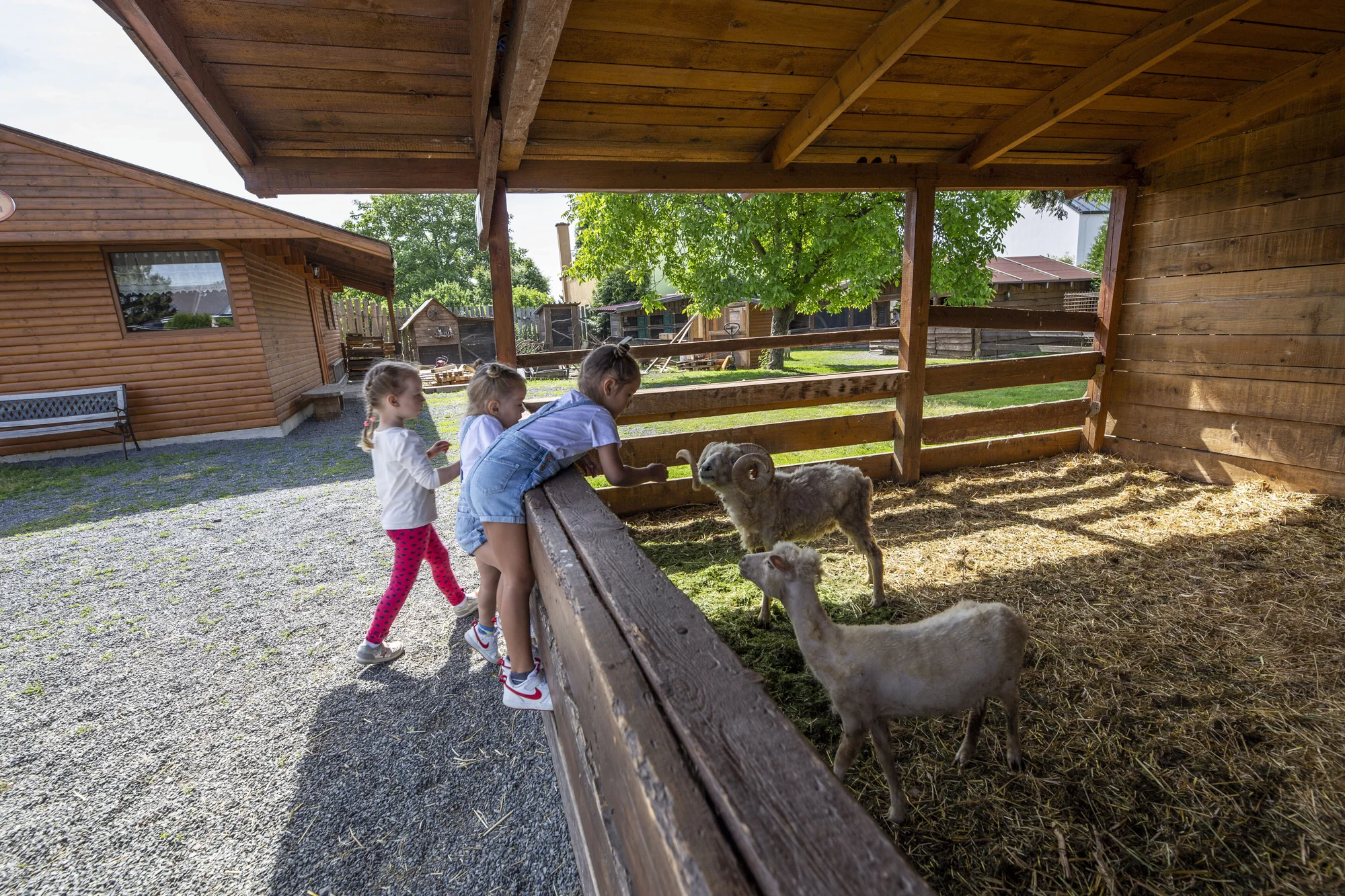 Krmení zvířátek na minifarmě Rodas a odlévání mýdla pro 1 nebo 2 osoby