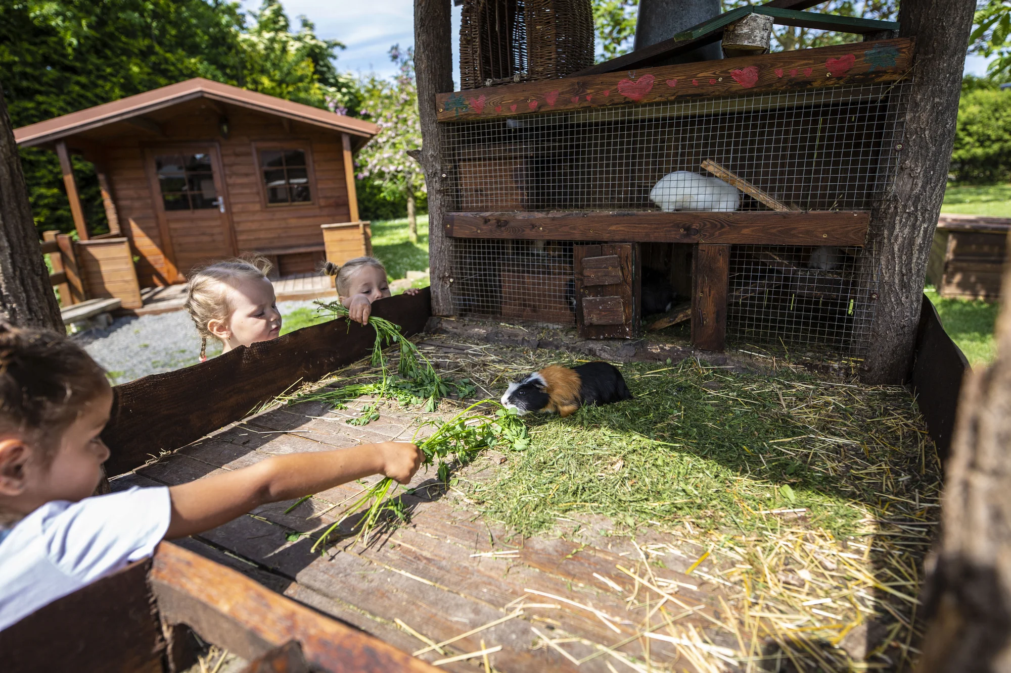 Krmení zvířátek na minifarmě Rodas a odlévání mýdla pro 1 nebo 2 osoby