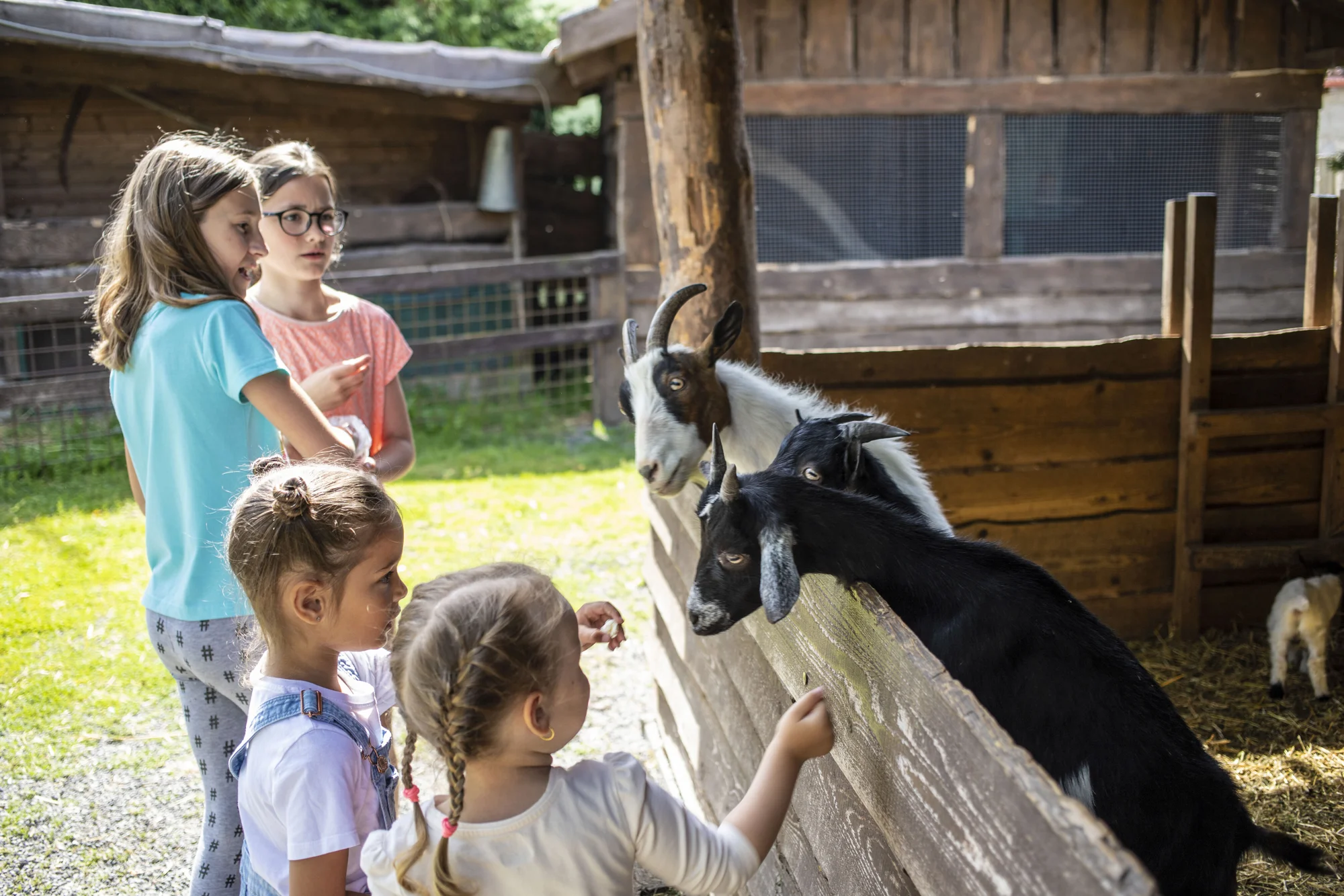 Krmení zvířátek na minifarmě Rodas a odlévání mýdla pro 1 nebo 2 osoby