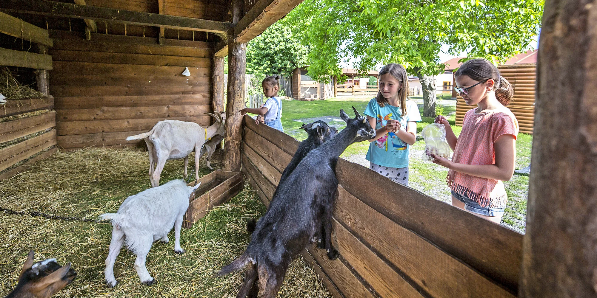 Krmení zvířátek na minifarmě Rodas a odlévání mýdla pro 1 nebo 2 osoby