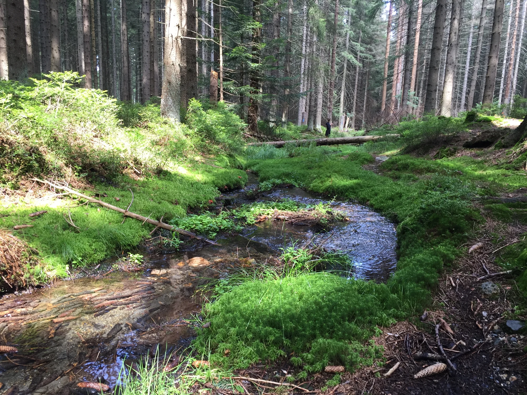 Útulný penzion v Jeseníkách: apartmán až pro 6 osob, výlety do Velkých Losin, na Praděd i k vodopádům