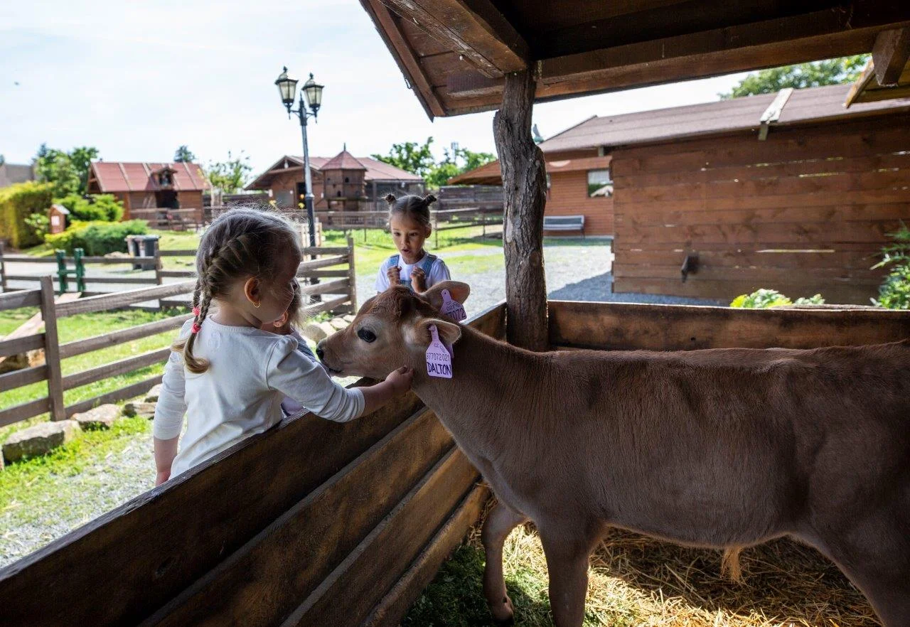 Krmení zvířátek na minifarmě Rodas a odlévání mýdla pro 1 nebo 2 osoby