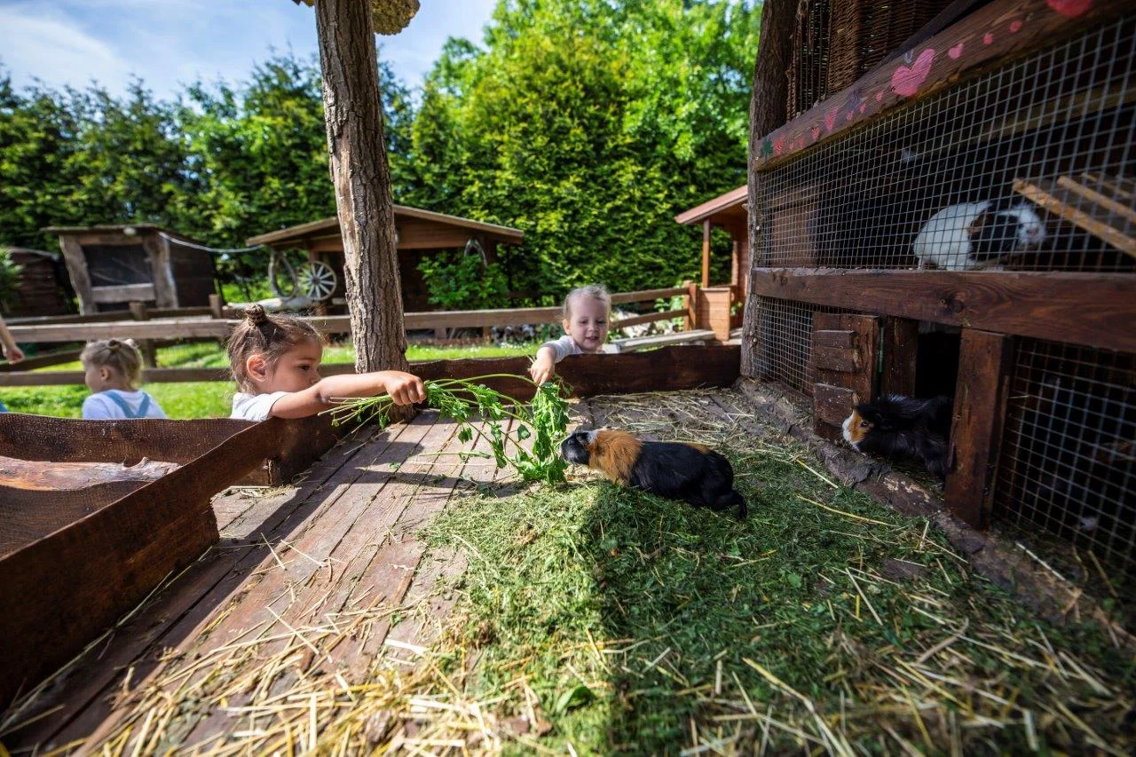 Krmení zvířátek na minifarmě Rodas a odlévání mýdla pro 1 nebo 2 osoby