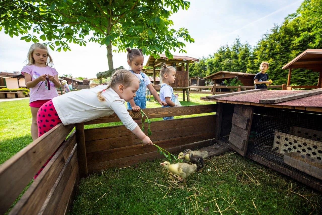 Krmení zvířátek na minifarmě Rodas a odlévání mýdla pro 1 nebo 2 osoby