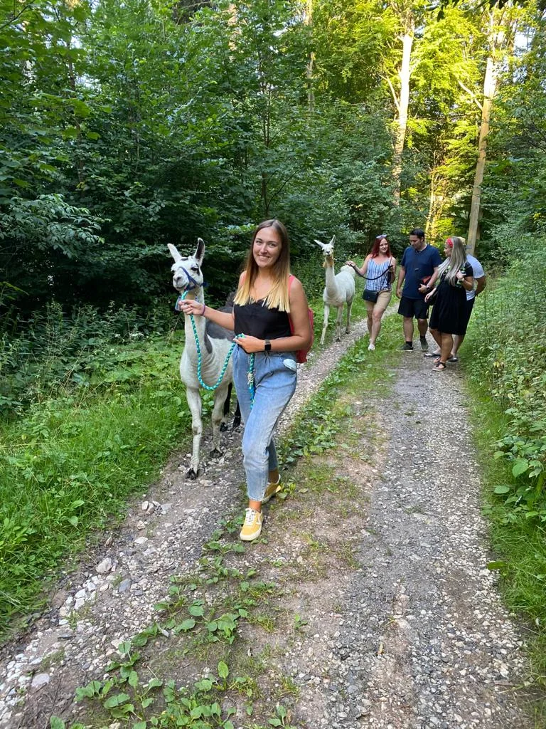 Lamatreking v Krkonoších pro 2 osoby: 1,5 či 3,5km okruh i krmení po návratu