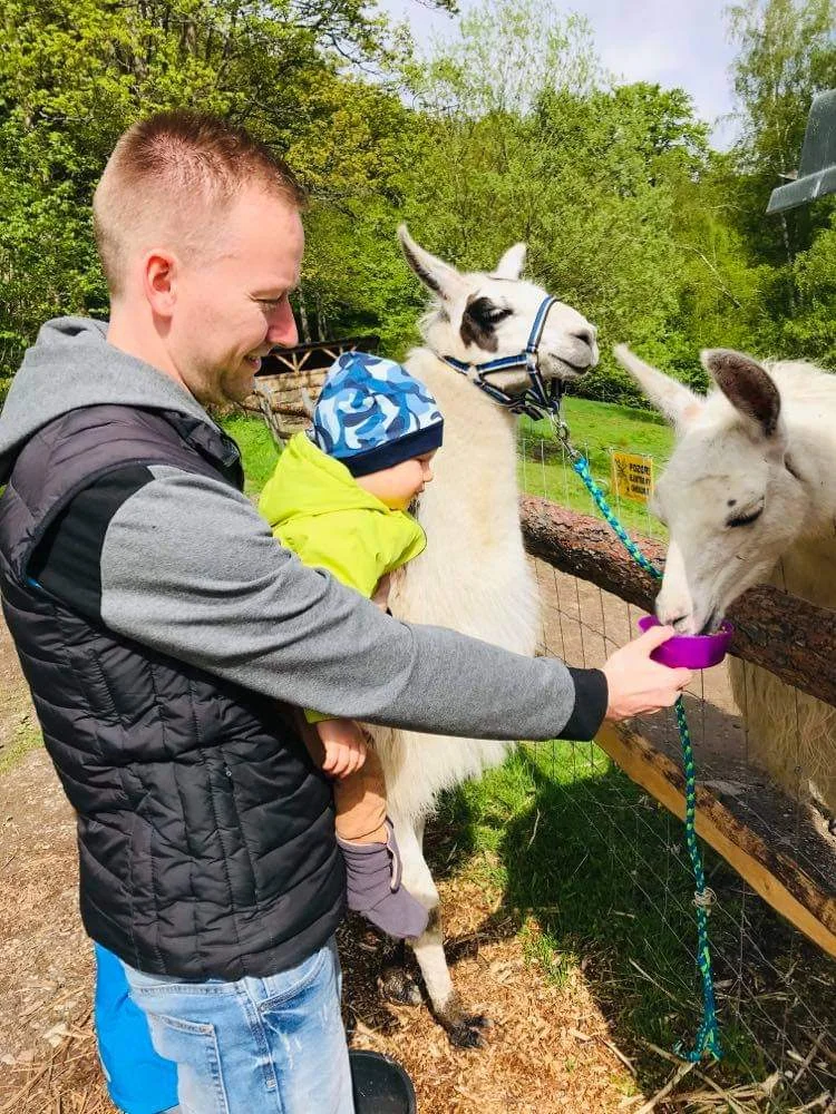 Cameltreking: procházka s velbloudem pro 2 osoby, okruh na 1,5 či 3,5 km
