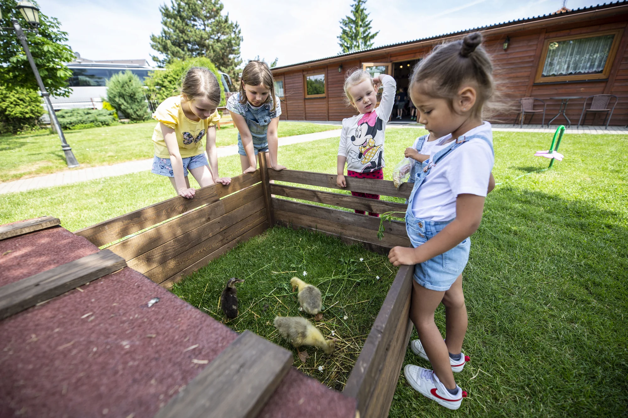 Krmení zvířátek na minifarmě Rodas a odlévání mýdla pro 1 nebo 2 osoby