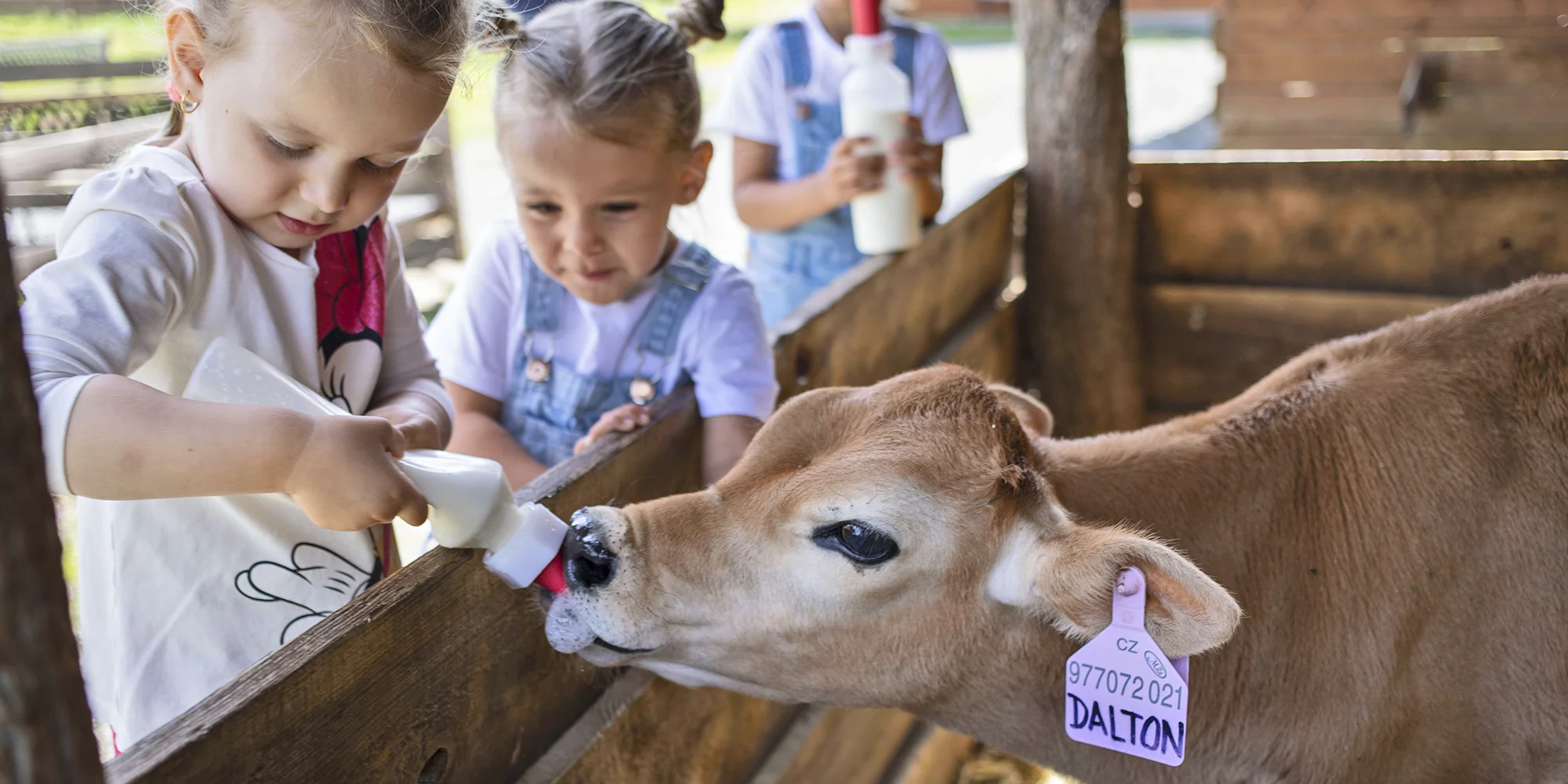Krmení zvířátek na minifarmě Rodas a odlévání mýdla pro 1 nebo 2 osoby