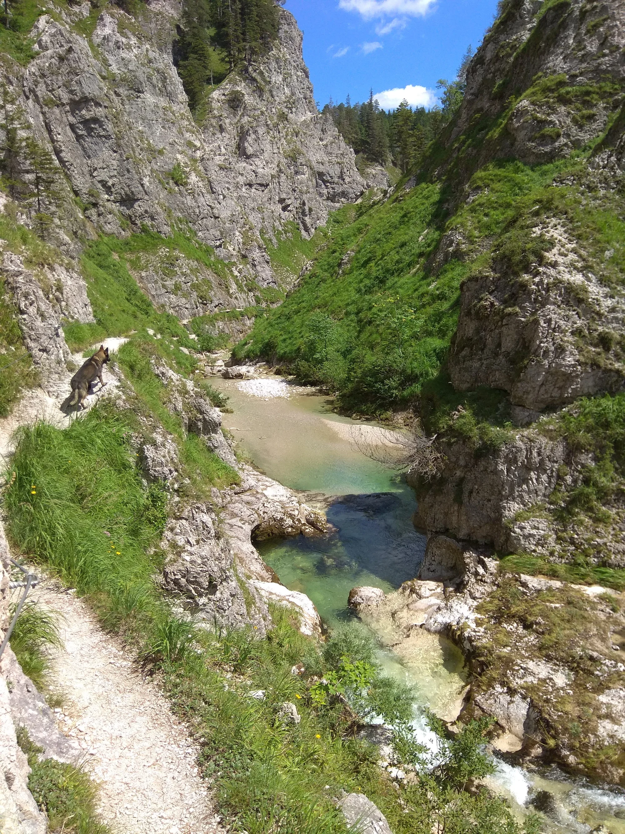 Poznejte Grand Canyon Dolního Rakouska: autobusem na výlet za turistikou