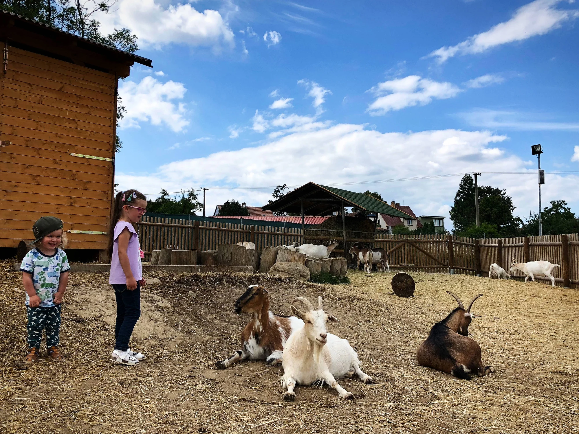 Zvířátka od ar po zubry: vstupné do zoologické zahrady v Táboře