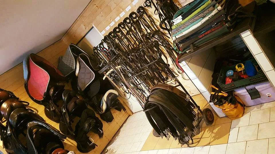 Vyjížďka pro začátečníky nebo 3hodinový workshop u koní pro děti