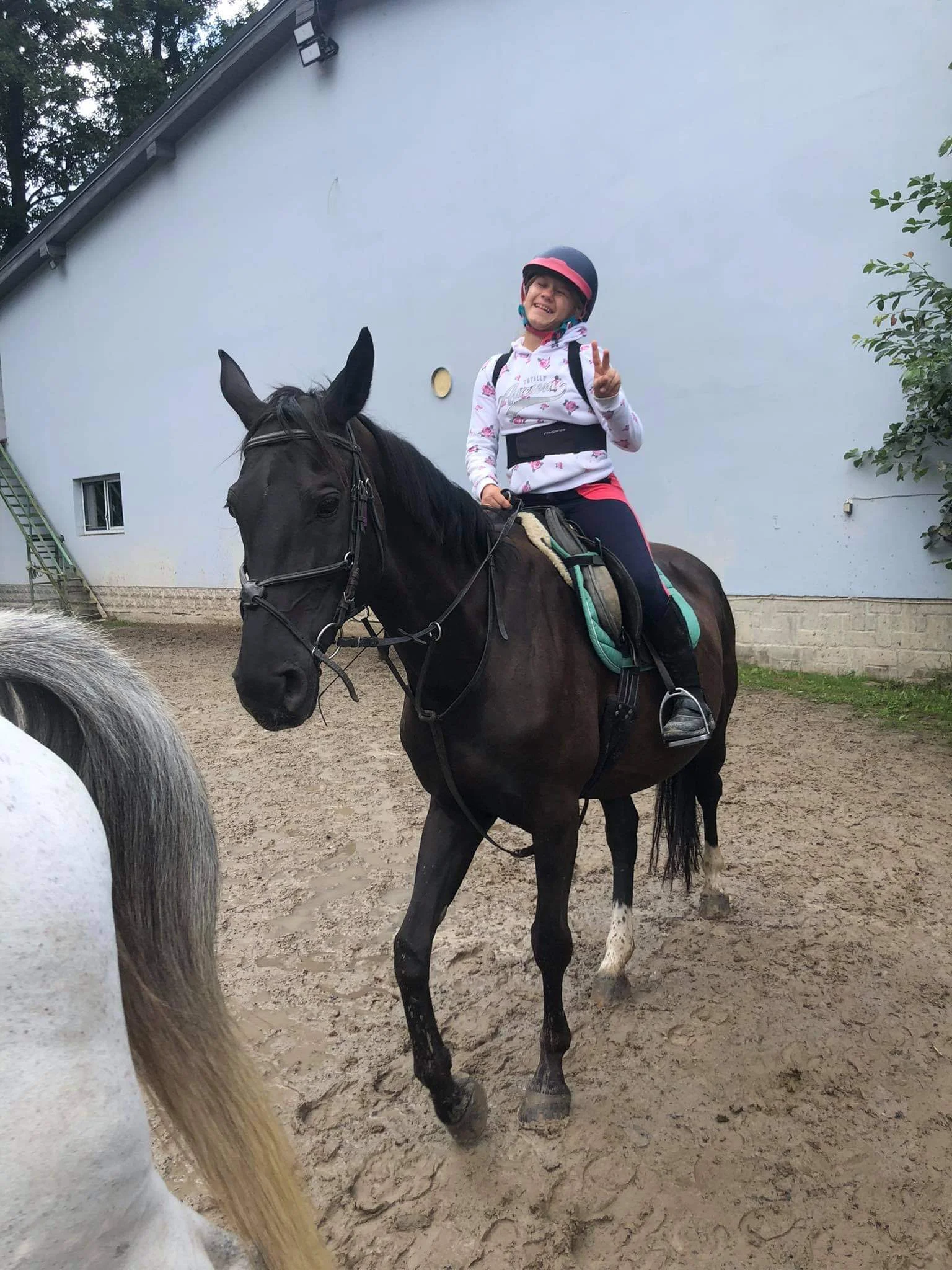 Vyjížďka pro začátečníky nebo 3hodinový workshop u koní pro děti