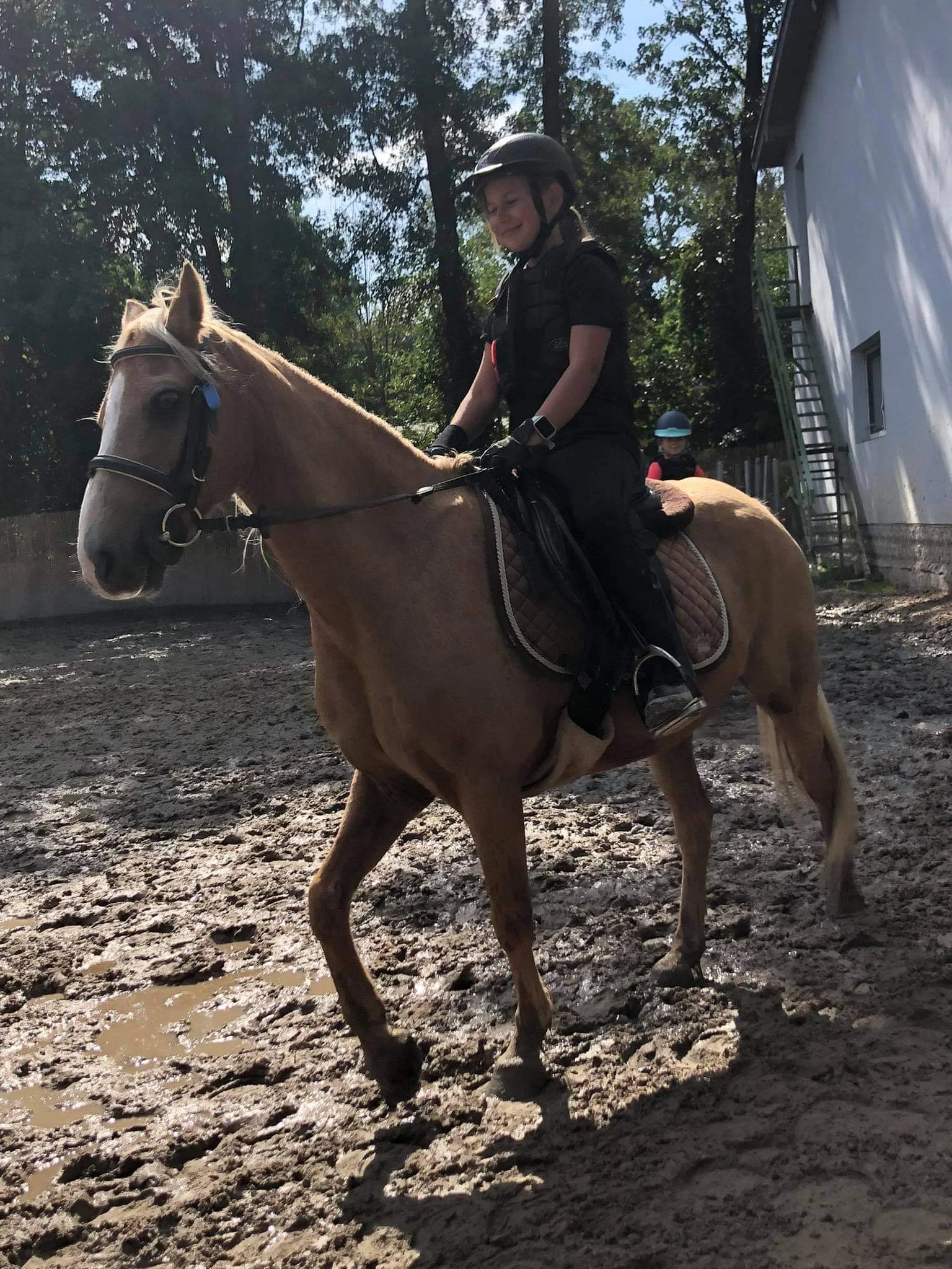 Vyjížďka pro začátečníky nebo 3hodinový workshop u koní pro děti