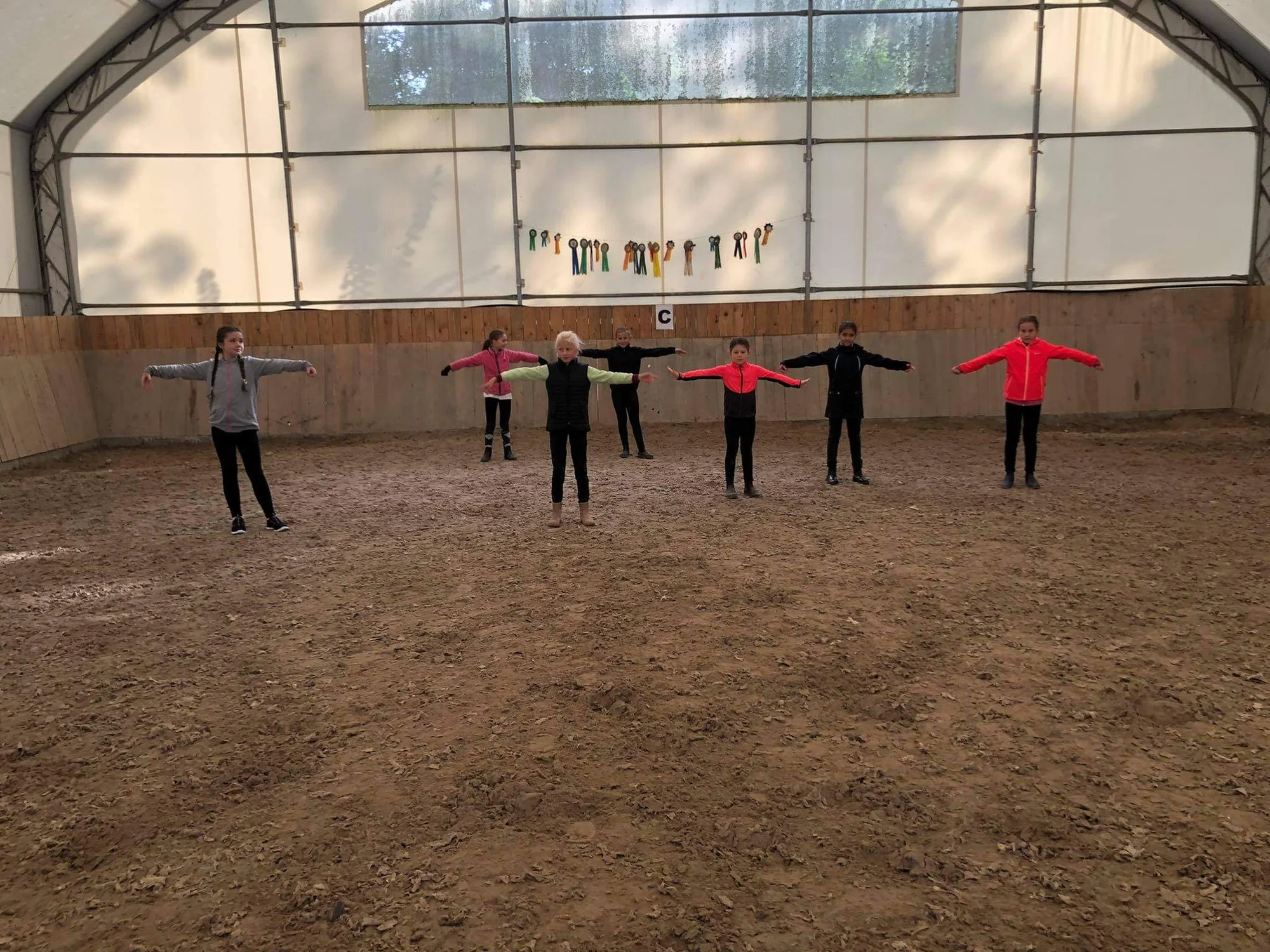 Vyjížďka pro začátečníky nebo 3hodinový workshop u koní pro děti