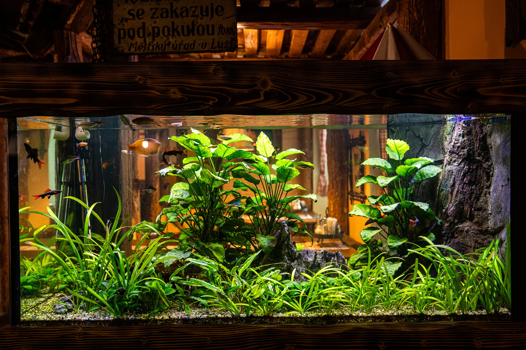 Gurmánské vzplanutí pro 2 osoby: tříchodové menu se 3 druhy masa, carpaccio i palačinka