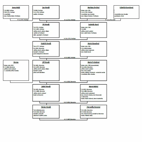 Rodokmen zobrazující až 5 generací formou diagramu i s kresleným stromem
