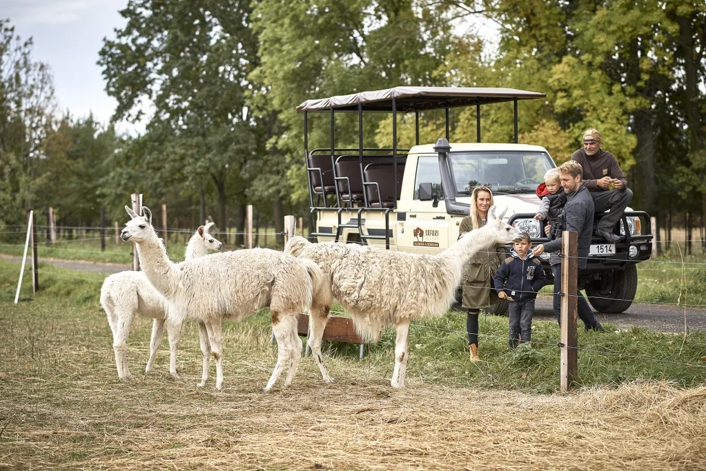 Den v Safari Resortu: 3D lukostřelecký parkour, bio burger s nápojem i návštěva zvířat