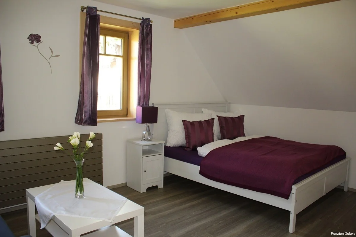 Luxusní penzion v blízkosti Adršpachu a Babiččina údolí