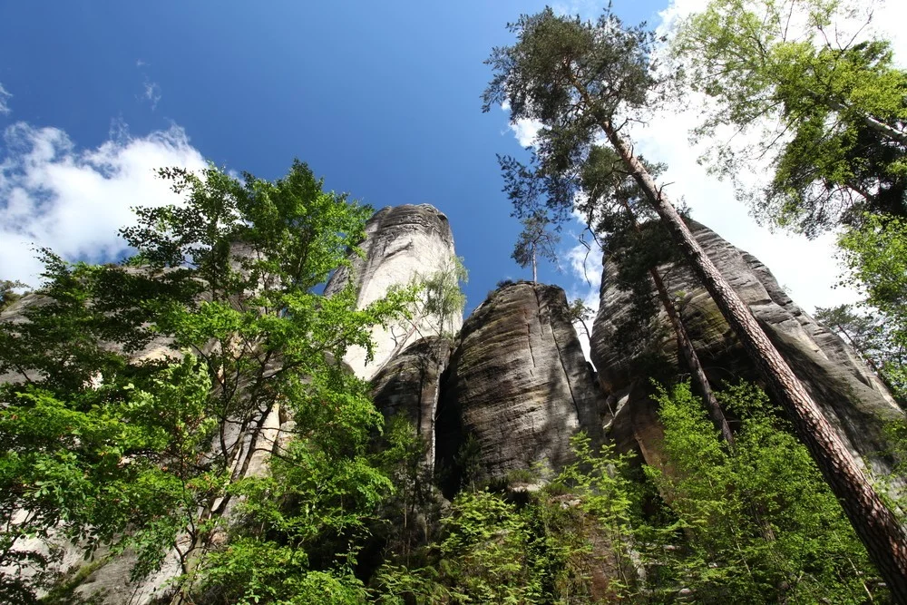 Luxusní penzion v blízkosti Adršpachu a Babiččina údolí