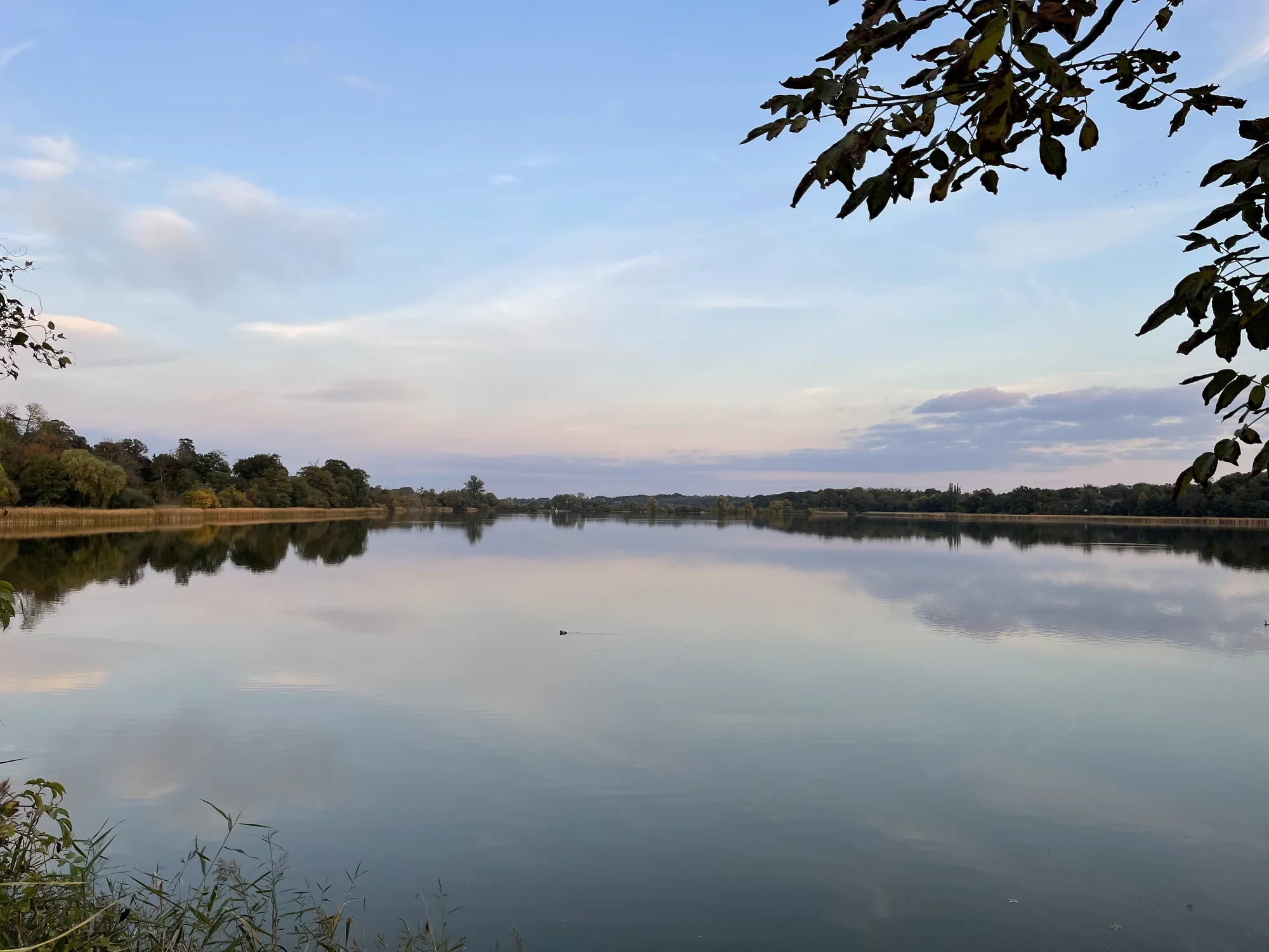 Luxusní resort s pivovarem v centru Lednice: snídaně, na výběr i vířivka či pivní lázeň