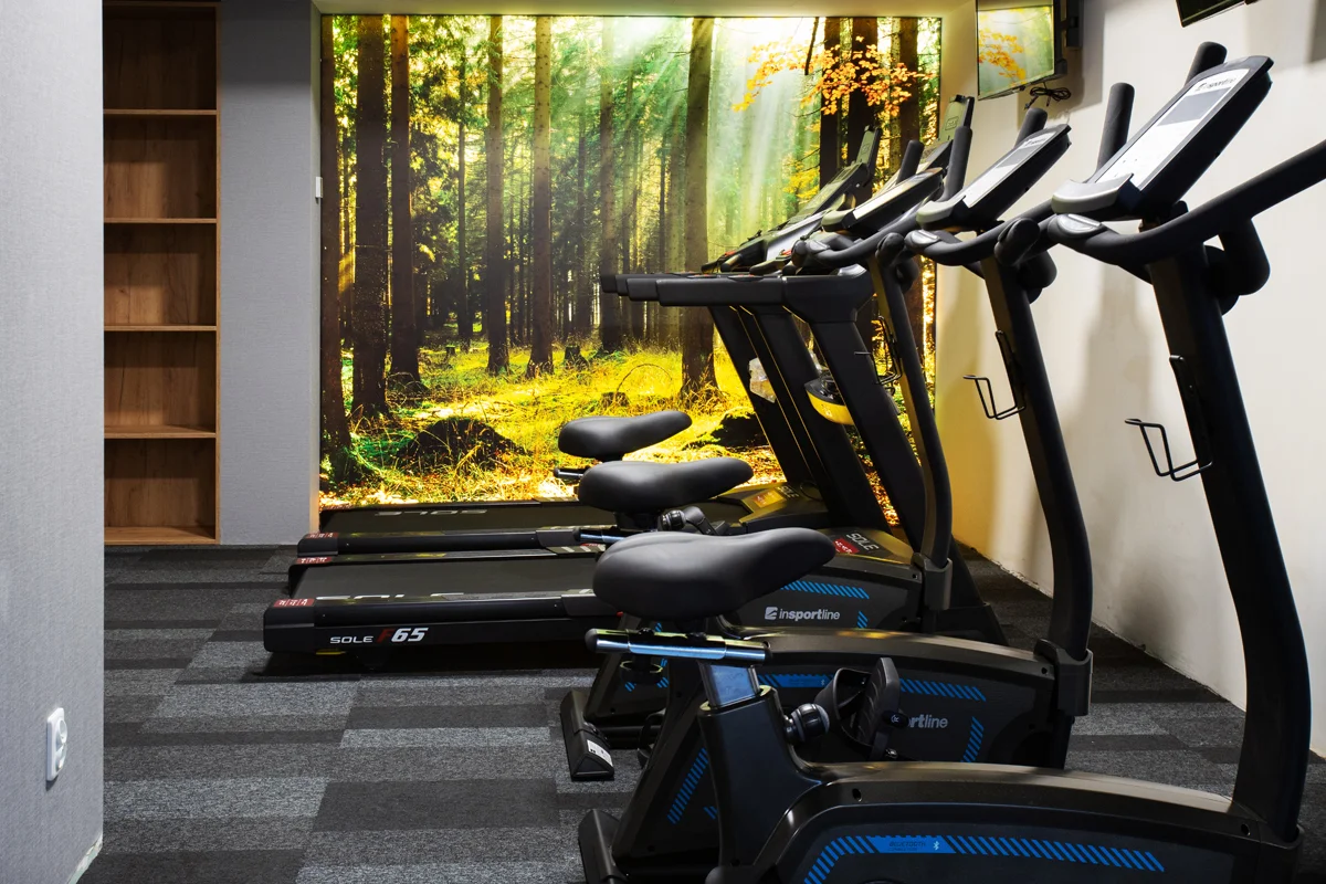 Moderní hotel v lázeňském městě Piwniczna-Zdrój: strava i neomezený wellness