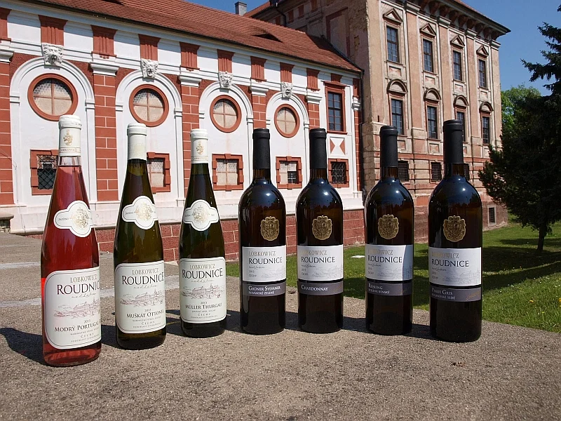 Dárkový lodní lístek na vinařskou plavbu po Labi: oběd, grilování, živá hudba, degustace 8 vín a průvodce