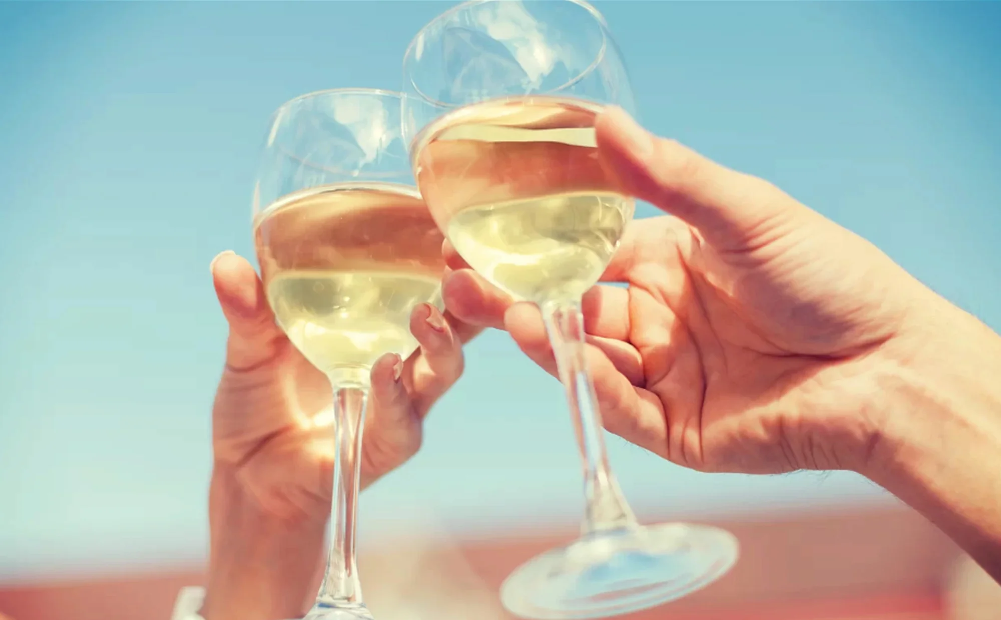 Dárkový lodní lístek na romantickou plavbu do Drážďan, s obědem, večeří, živou hudbou, ochutnávkou vín a průvodcem