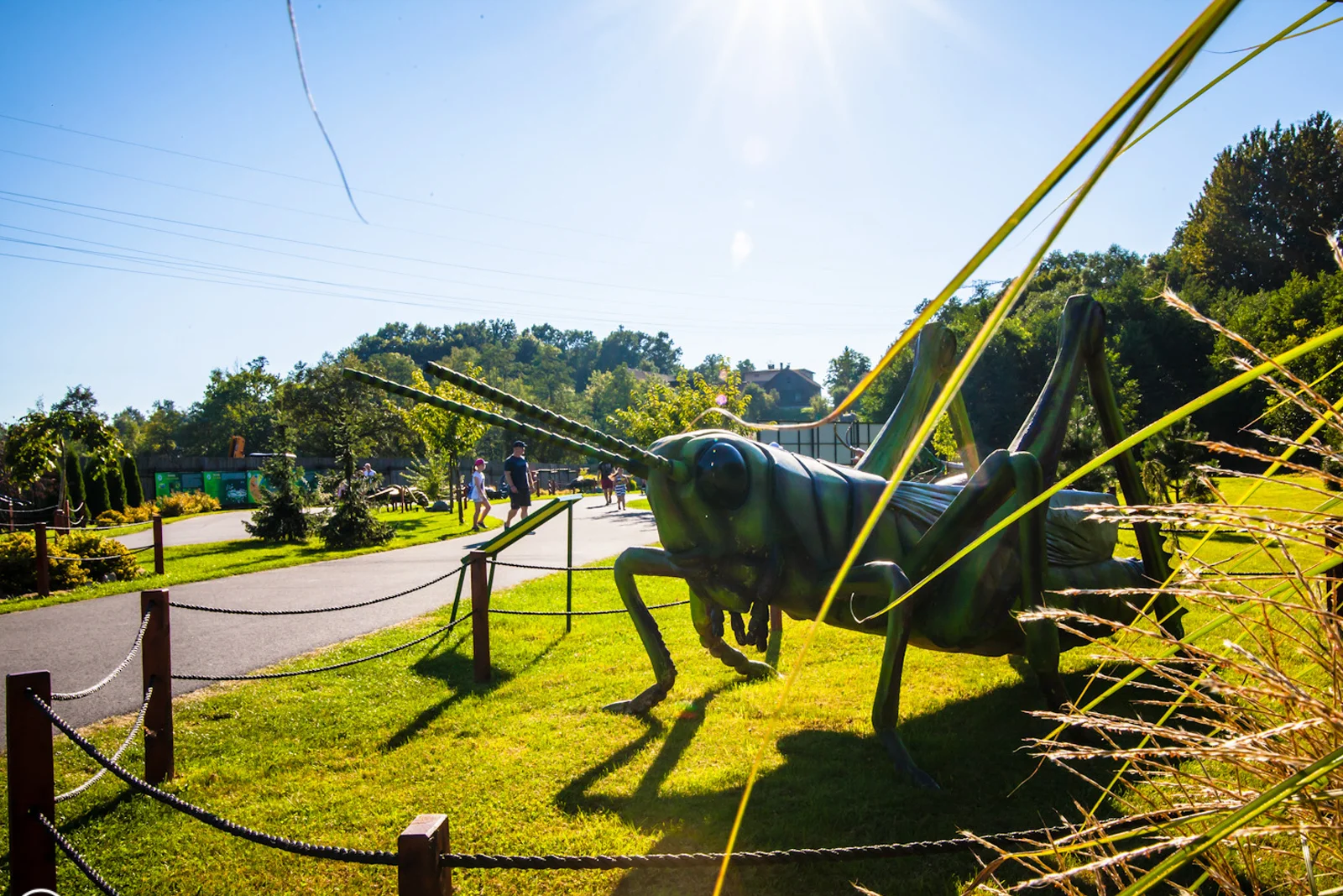 Navštivte park plný dinosaurů a zábavy: 2denní vstup do polského Zatorlandu