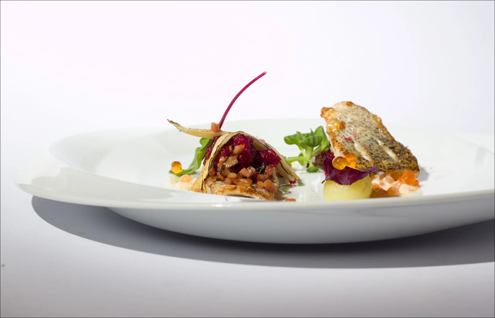 Degustační menu v Chateau St. Havel: 4 nebo 5 chodů i vinné párování