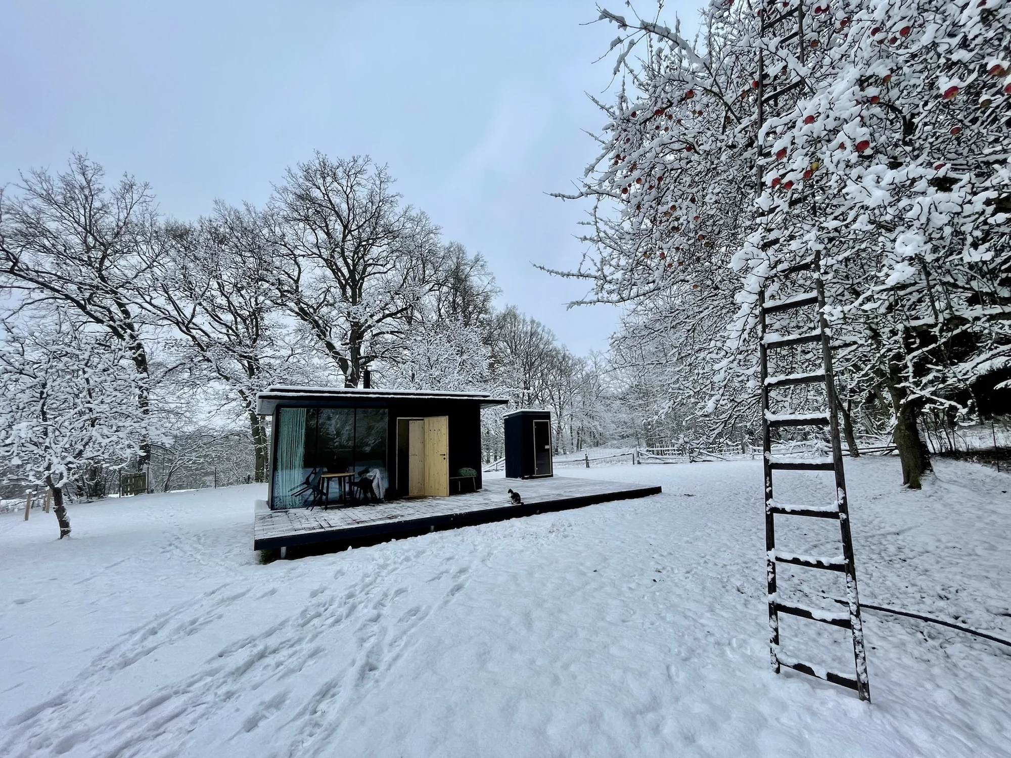 Minimalistický tiny house uprostřed přírody: soukromá sauna i grilovací stůl