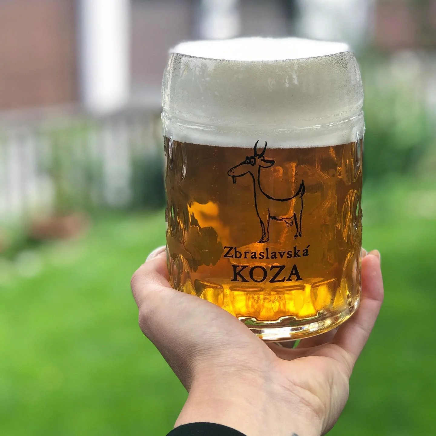 Kilo a půl šťavnatých Buffalo wings, dvoulitrový džbánek piva či limonády a dezert pro dva