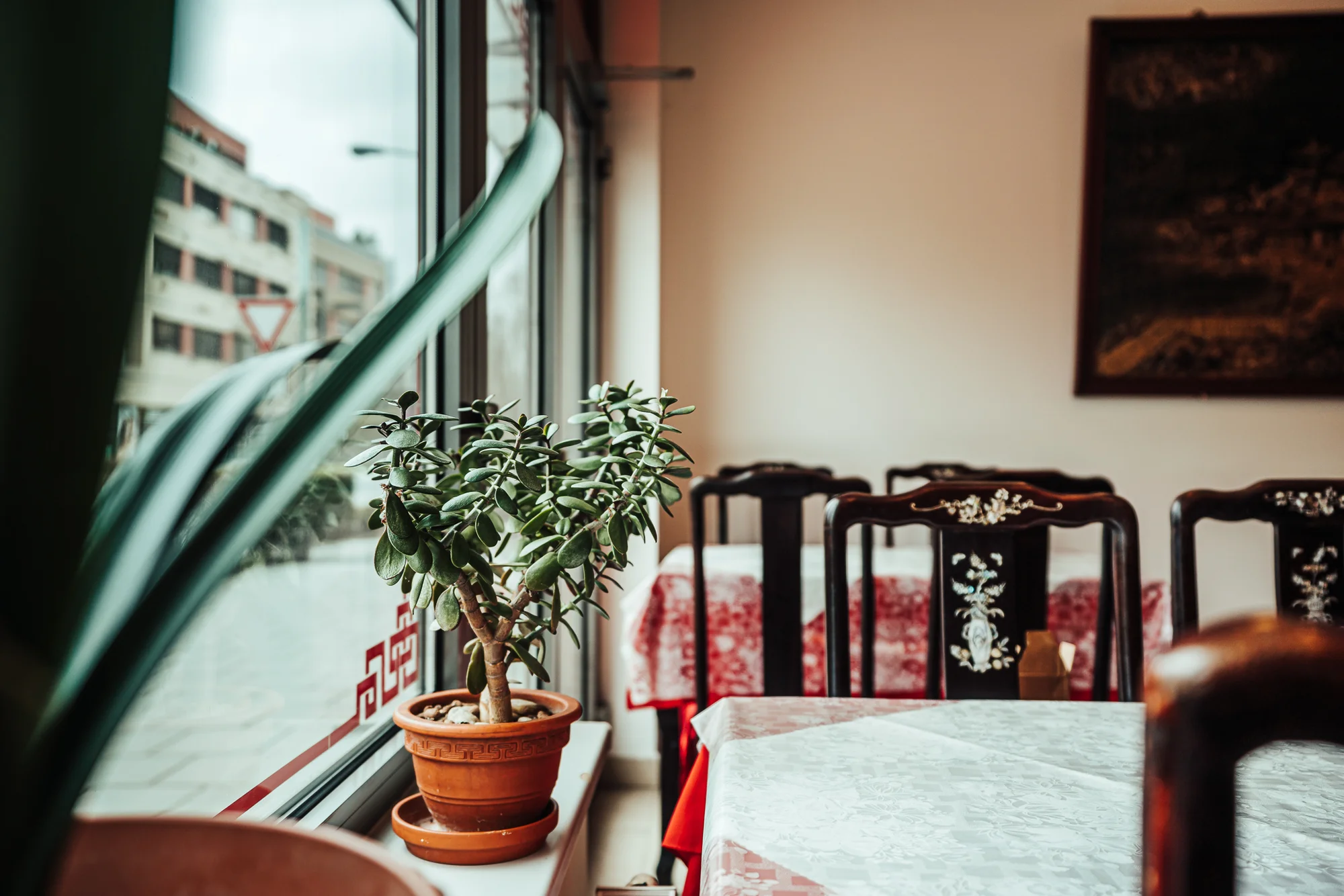 Degustační menu v čínské restauraci pro 2–6 osob: polévka, salát, několik hlavních chodů i dezerty