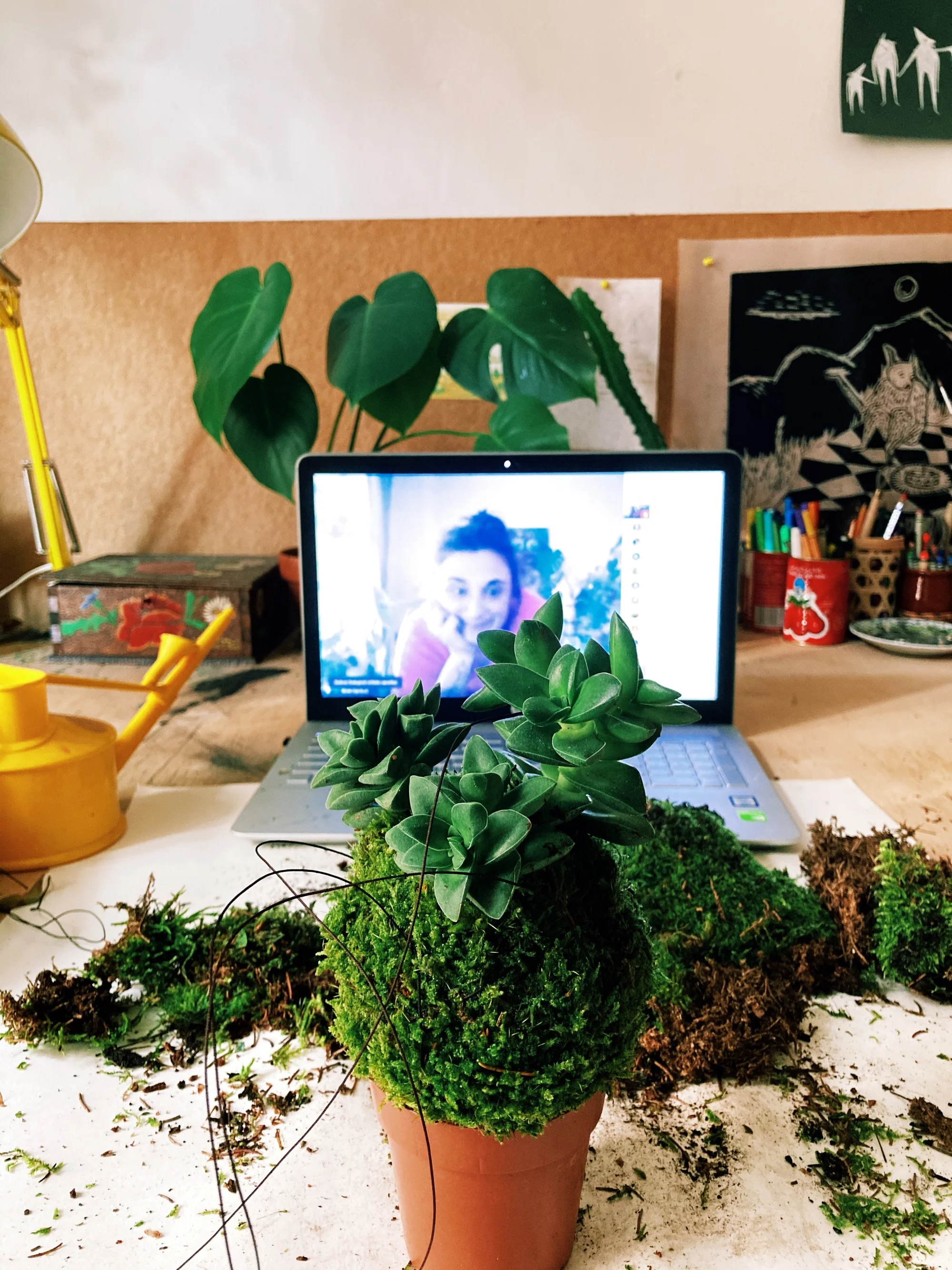 60min. online workshop výroby kokedamy včetně všech pomůcek