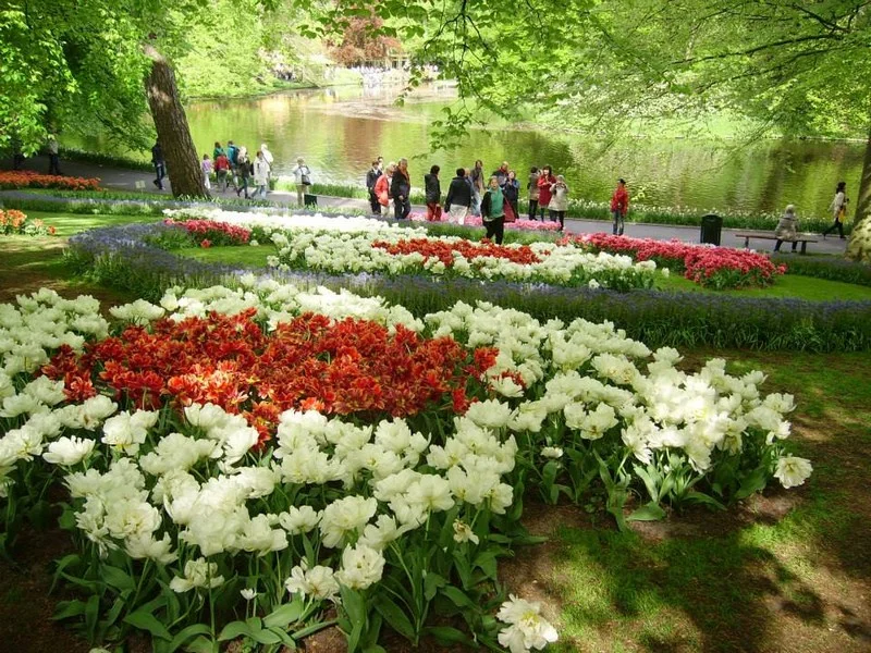 Do Holandska z Moravy: rozkvetlý park Keukenhof, květinové korzo i návštěva Amsterdamu