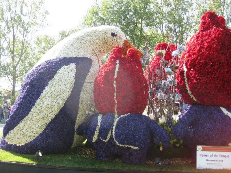 Do Holandska z Moravy: rozkvetlý park Keukenhof, květinové korzo i návštěva Amsterdamu