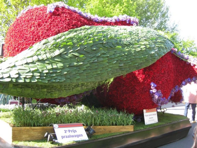 Do Holandska z Moravy: rozkvetlý park Keukenhof, květinové korzo i návštěva Amsterdamu