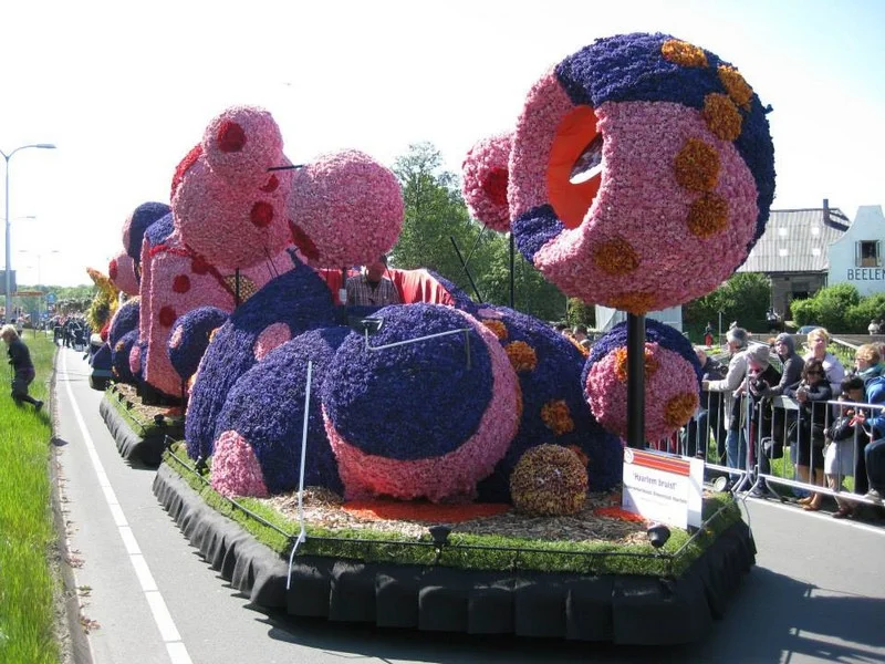 Do Holandska z Moravy: rozkvetlý park Keukenhof, květinové korzo i návštěva Amsterdamu