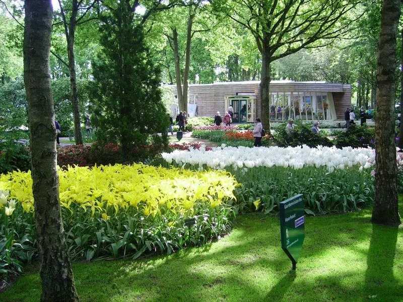 Do Holandska z Moravy: rozkvetlý park Keukenhof, květinové korzo i návštěva Amsterdamu