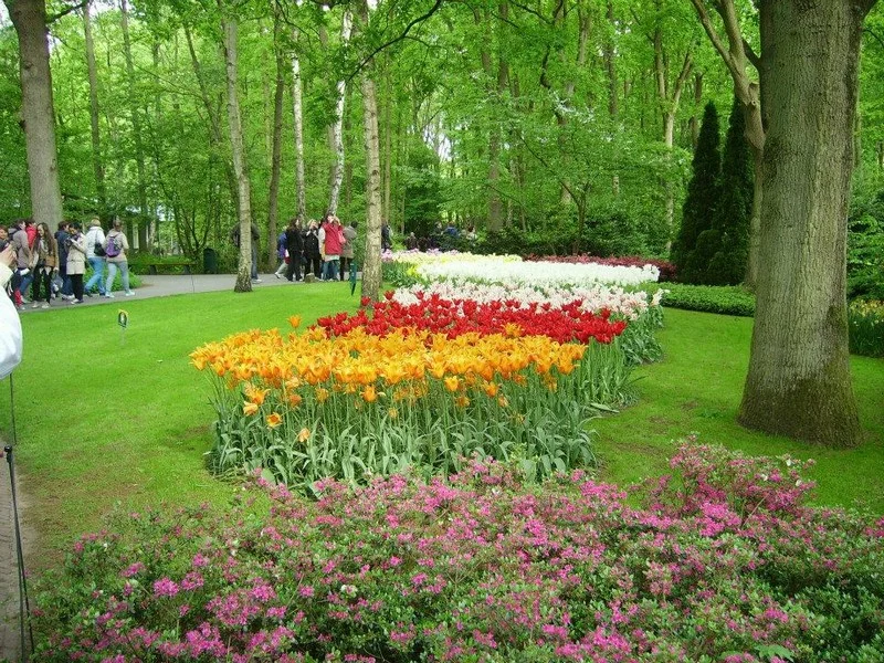 Do Holandska z Moravy: rozkvetlý park Keukenhof, květinové korzo i návštěva Amsterdamu