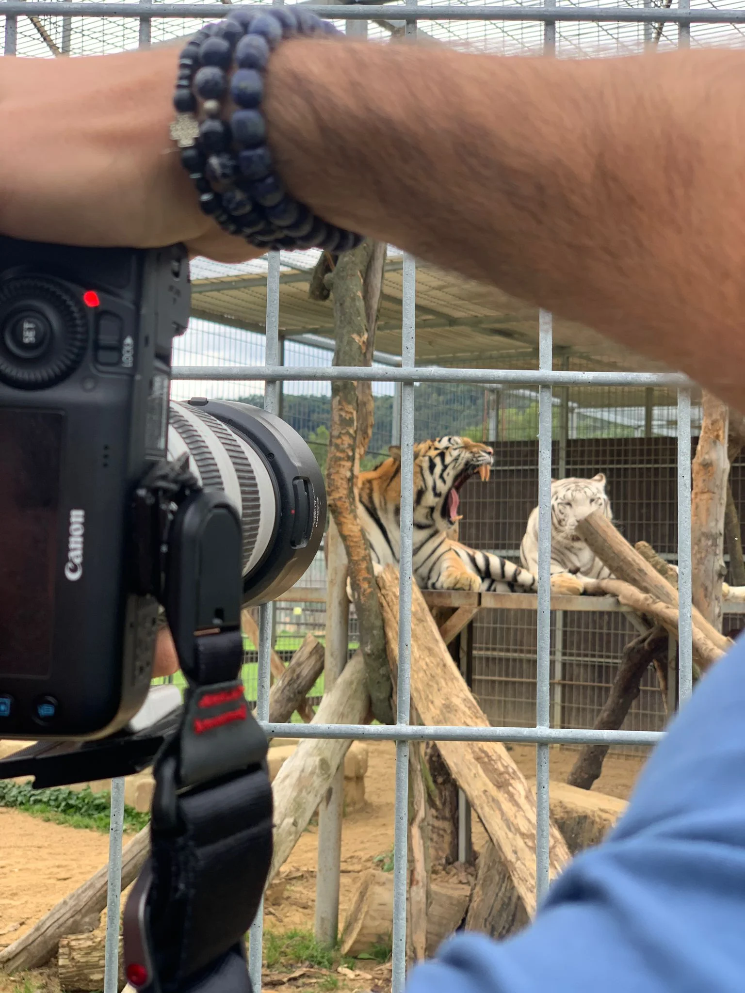 Fotografický prémium kurz v 5 různých zoo pro začátečníky i pokročilé