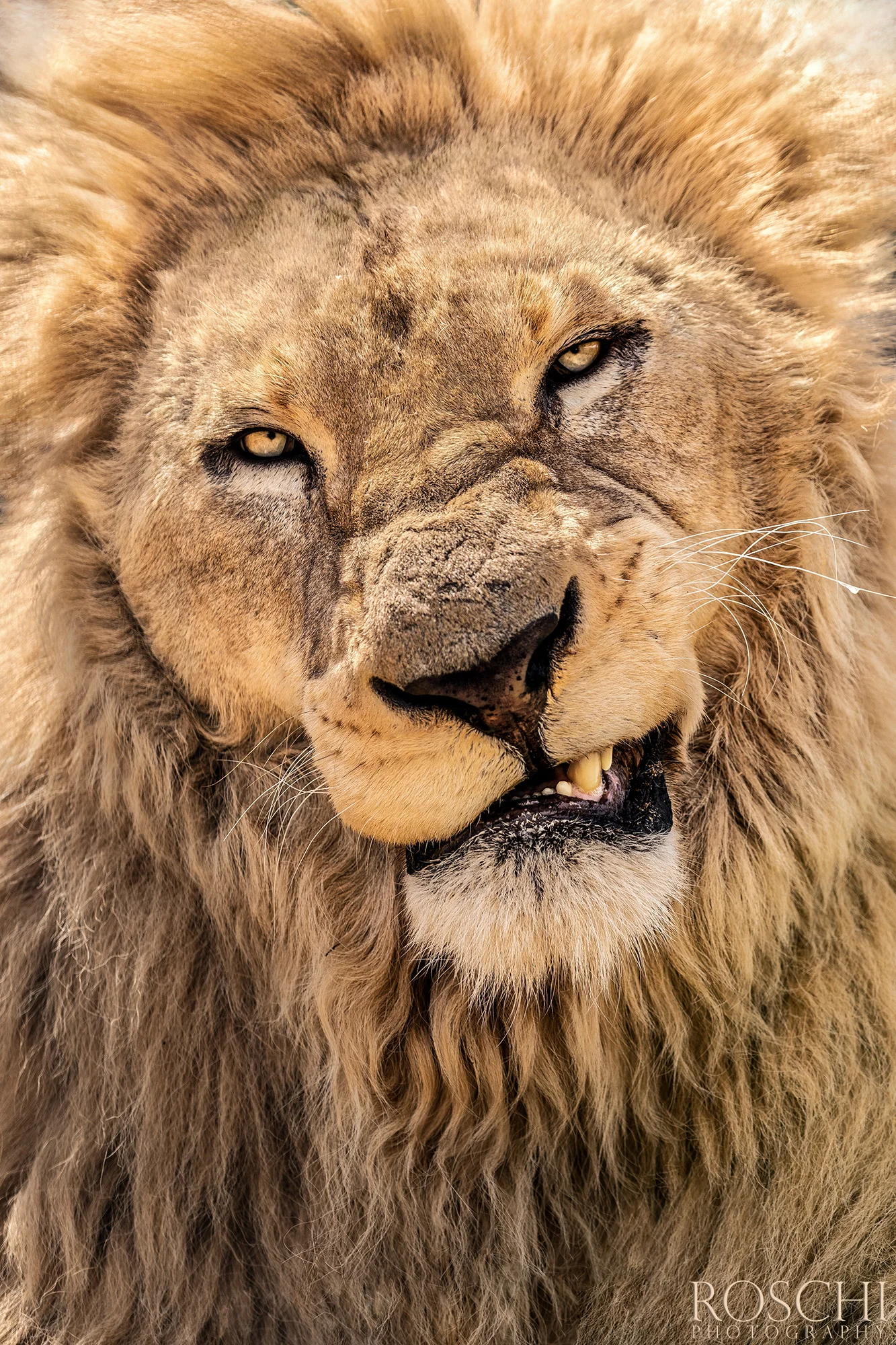 Fotografický prémium kurz v 5 různých zoo pro začátečníky i pokročilé