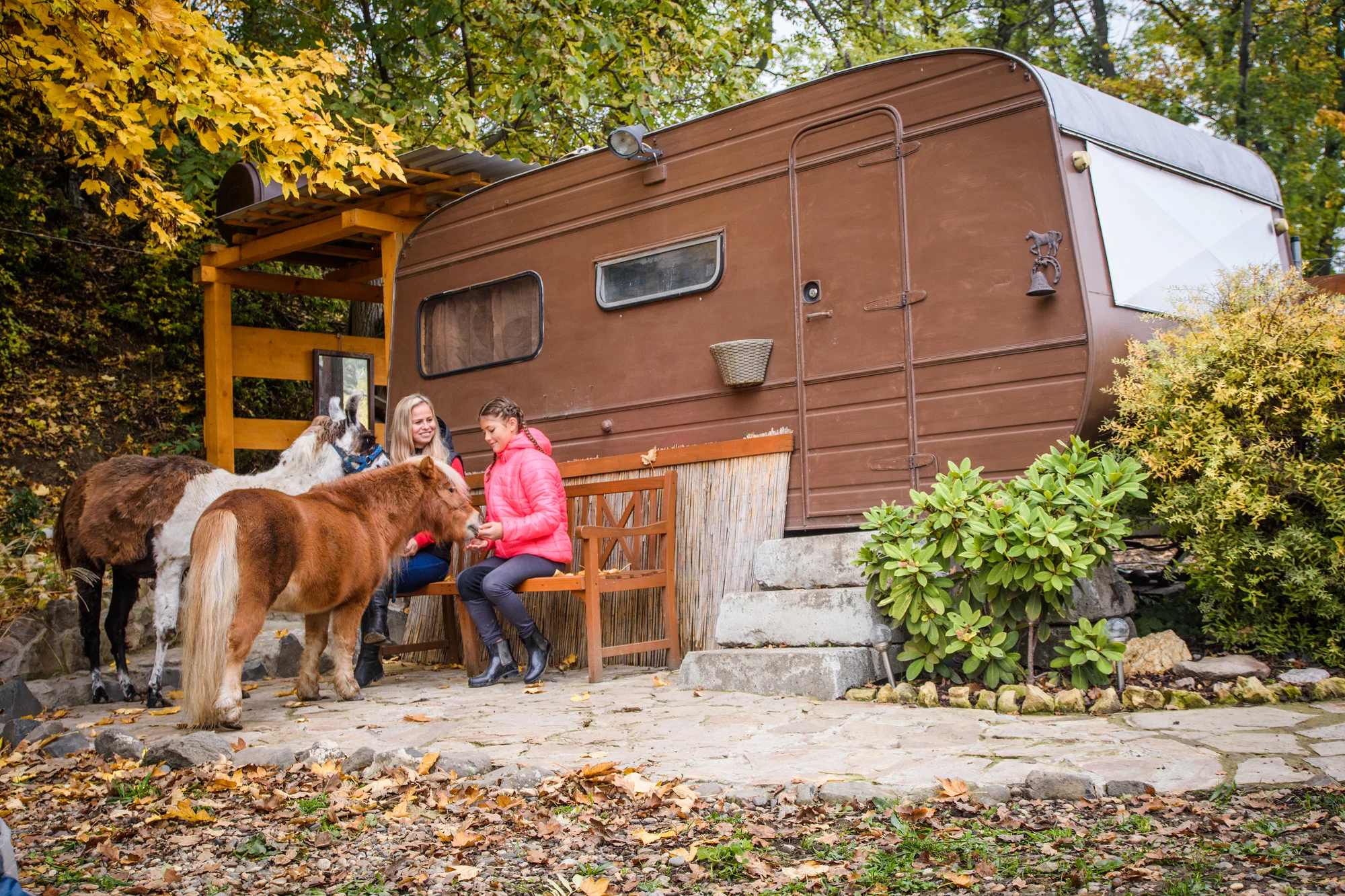 Pobyt mezi zvířátky na ranči: karavan, chatka či maringotka, mini zoo, koně a možnost snídaní