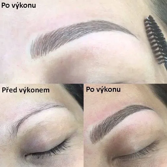 Permanentní make-up dolních i horních linek, microblading i stínování obočí či kontura i celé rty