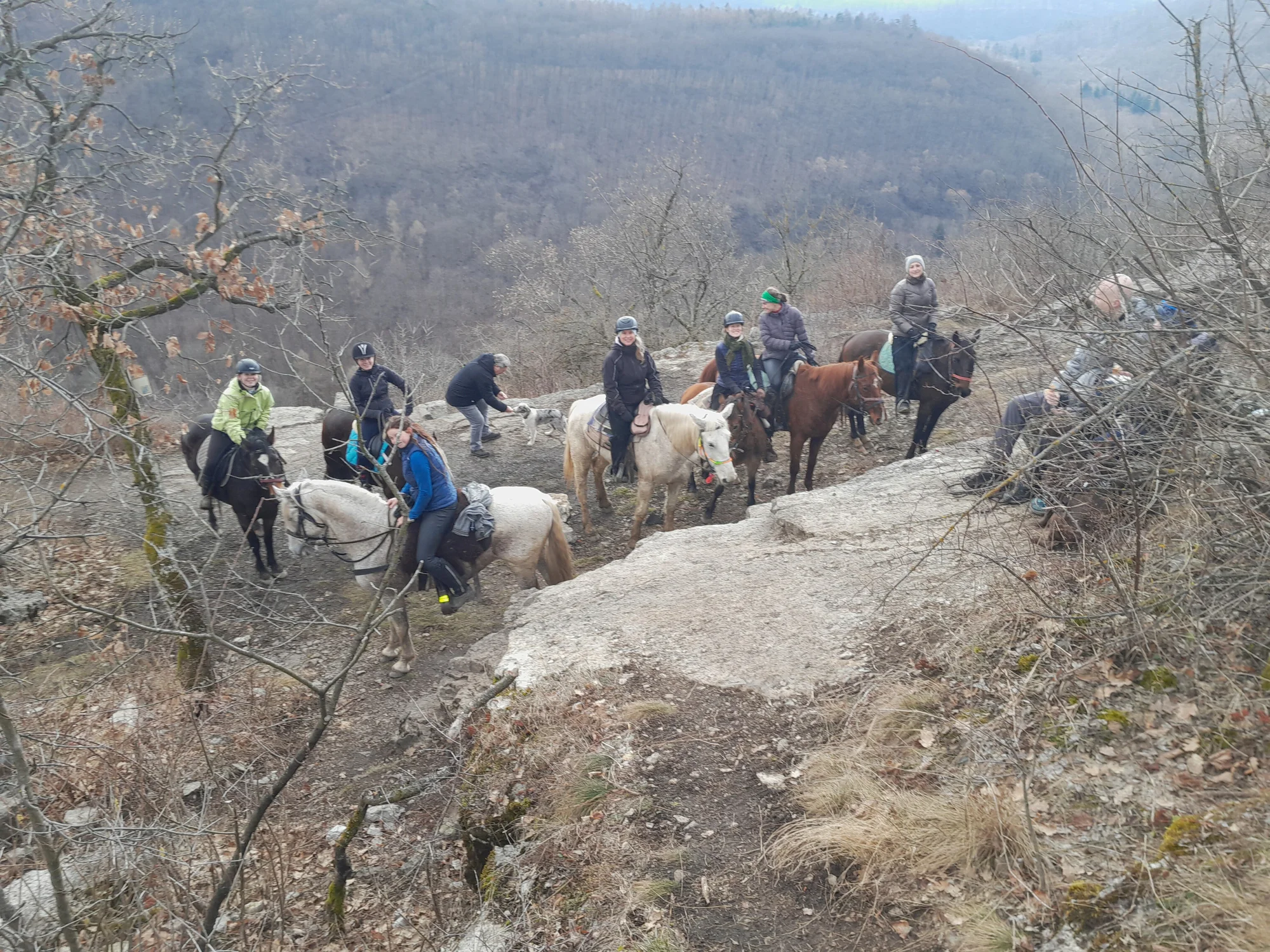 Vyjížďka na koni v Moravském krasu nebo jízda kočárem taženém dvojspřežím nebo čtyřspřežím