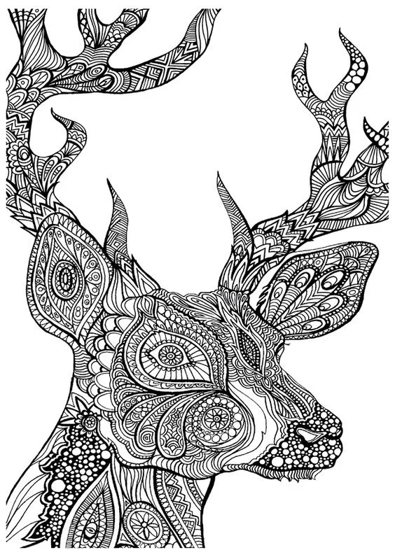Kurz kresby, malby akvarelem nebo relaxačního malování zentangle