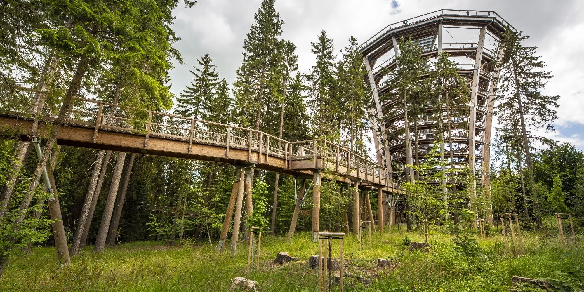 Dokonalý odpočinek v Janských Lázních: snídaně, infrasauna přímo na pokoji i wellness balíček