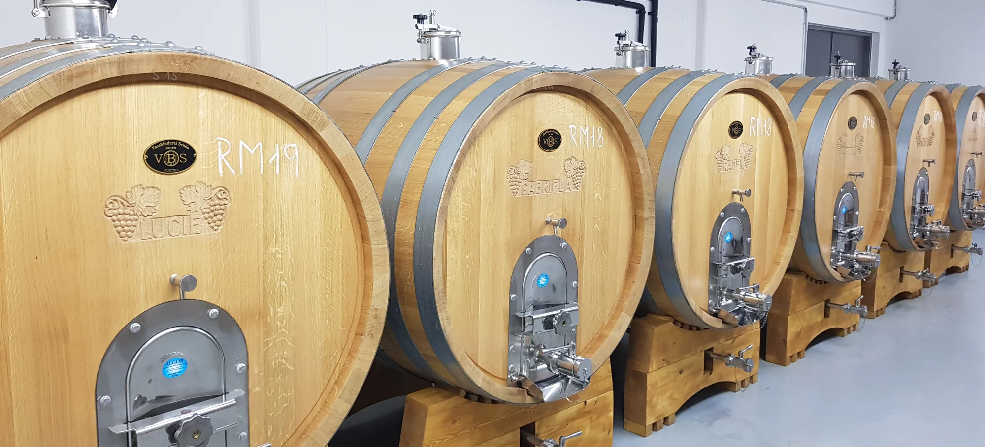 Prohlídka vinohradu, vinařství, představení technologie a řízená degustace